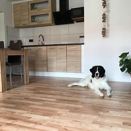 Apartmany A&Z Hořice na Šumavě Exteriör bild