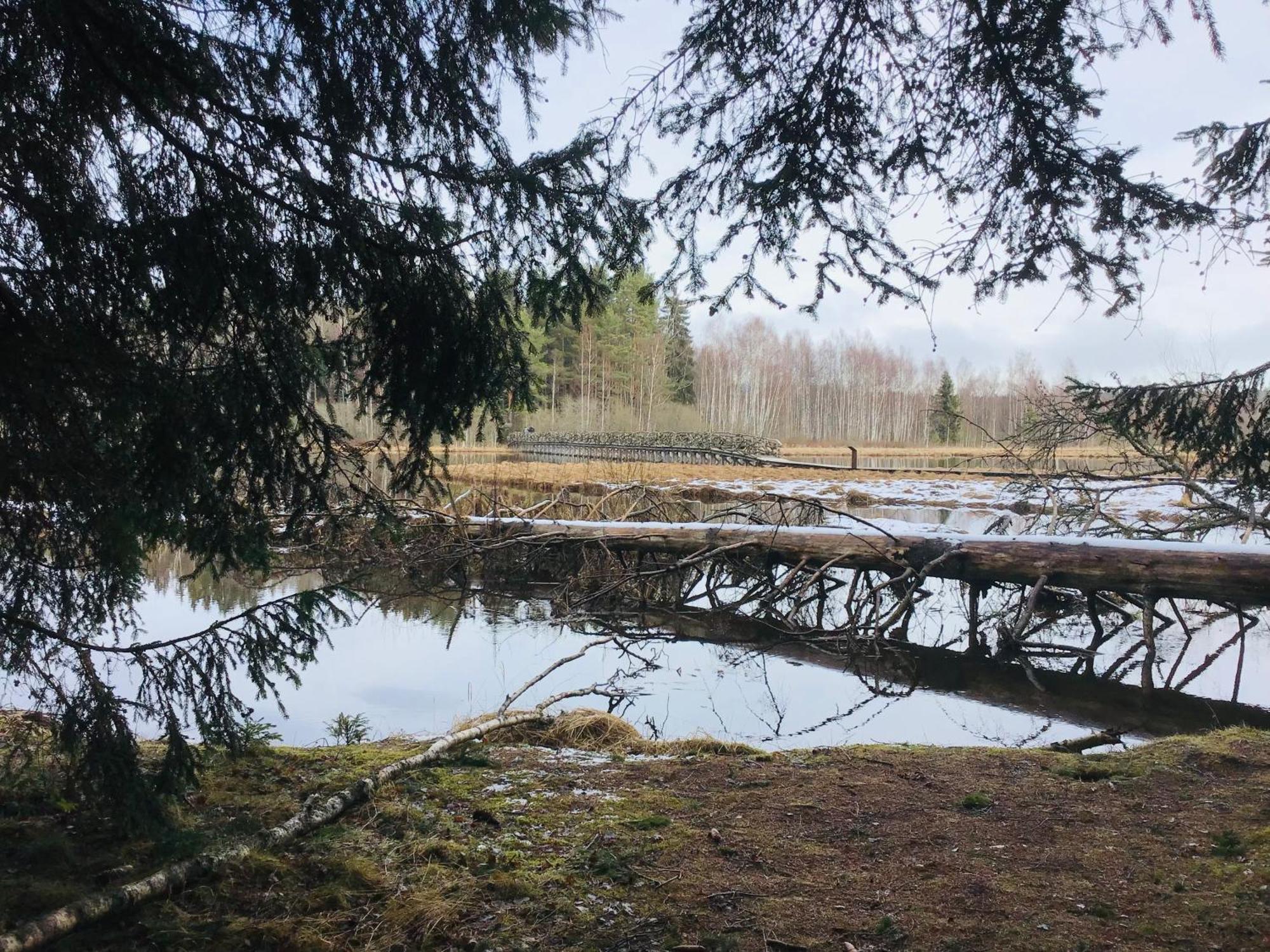 Apartmany A&Z Hořice na Šumavě Rum bild